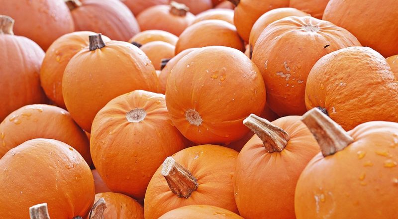 Why Eating at Consistent Times Can Improve Digestion and Weight Management